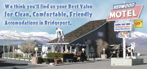 Bridgeport CA, Bridgeport, California, Dog, dog, dog, dog, dog,motel, eastern Sierra, Bridgeport, California, USA - World Class Trout Fishing, Yosemite, Bodie, 395, Sierra fishing, motel, EasternSierra, Yosemite